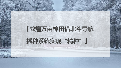 敦煌万亩棉田借北斗导航播种系统实现“精种”