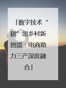 数字技术“耕”出乡村新图景：电商助力三产深度融合