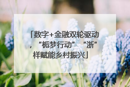 数字+金融双轮驱动，“栀梦行动”“浙”样赋能乡村振兴