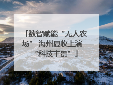 数智赋能“无人农场” 海州夏收上演“科技丰景”