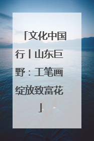 文化中国行丨山东巨野：工笔画绽放致富花