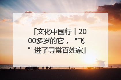 文化中国行丨2000多岁的它，“飞”进了寻常百姓家