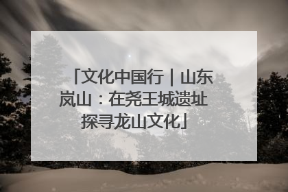 文化中国行｜山东岚山：在尧王城遗址探寻龙山文化