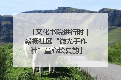 文化书院进行时｜桑杨社区“微光手作社”童心绘夏韵