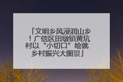 文明乡风浸润山乡！广信区田墩镇黄坑村以“小切口”绘就乡村振兴大图景