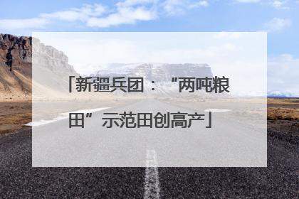 新疆兵团：“两吨粮田”示范田创高产