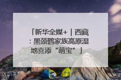 新华全媒+｜西藏：黑颈鹤家族高原湿地喜添“萌宝”