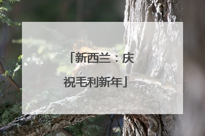 新西兰：庆祝毛利新年
