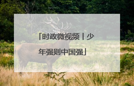 时政微视频丨少年强则中国强
