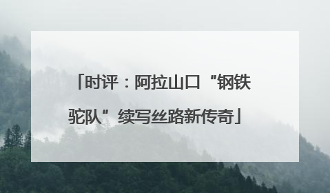 时评：阿拉山口“钢铁驼队”续写丝路新传奇