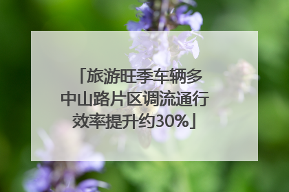 旅游旺季车辆多 中山路片区调流通行效率提升约30%