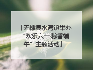无棣县水湾镇举办“欢乐六一·粽香端午”主题活动