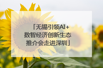 无锡引领AI+数智经济创新生态推介会走进深圳