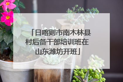 日喀则市南木林县村后备干部培训班在山东潍坊开班