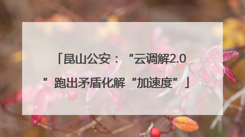 昆山公安：“云调解2.0”跑出矛盾化解“加速度”