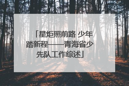 星炬照前路 少年踏新程——青海省少先队工作综述