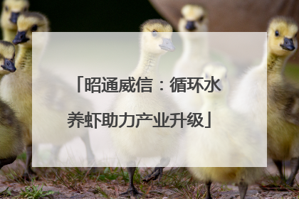 昭通威信：循环水养虾助力产业升级