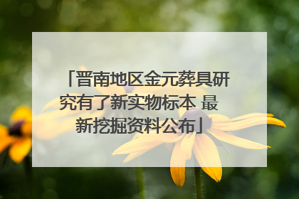晋南地区金元葬具研究有了新实物标本 最新挖掘资料公布