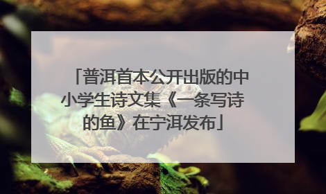 普洱首本公开出版的中小学生诗文集《一条写诗的鱼》在宁洱发布