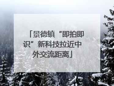 景德镇“即拍即识”新科技拉近中外交流距离
