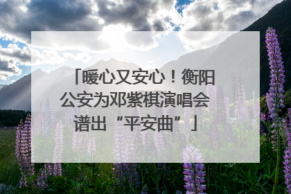 暖心又安心！衡阳公安为邓紫棋演唱会谱出“平安曲”