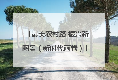 最美农村路 振兴新图景（新时代画卷）