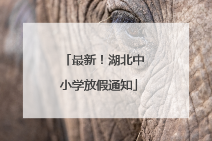最新！湖北中小学放假通知