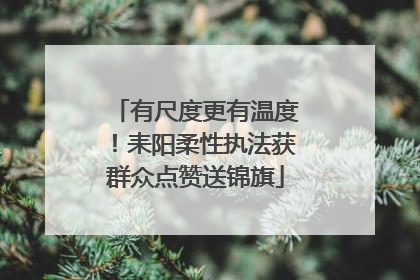 有尺度更有温度！耒阳柔性执法获群众点赞送锦旗
