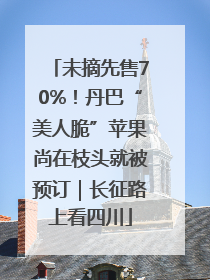 未摘先售70%！丹巴“美人脆”苹果尚在枝头就被预订｜长征路上看四川