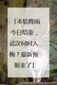 本轮降雨今日结束，武汉何时入梅？最新预报来了