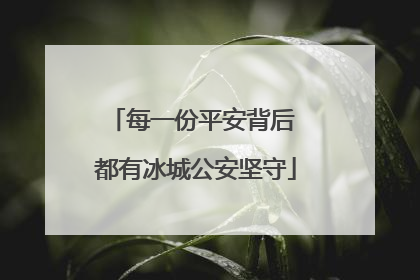 每一份平安背后 都有冰城公安坚守