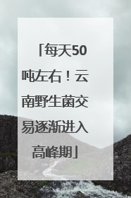 每天50吨左右！云南野生菌交易逐渐进入高峰期