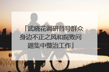 武晓花调研督导群众身边不正之风和腐败问题集中整治工作