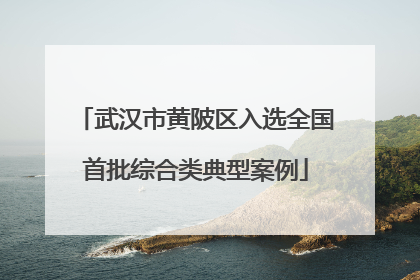 武汉市黄陂区入选全国首批综合类典型案例
