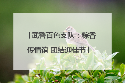 武警百色支队：粽香传情谊 团结迎佳节