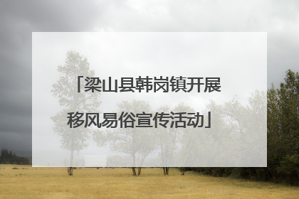 梁山县韩岗镇开展移风易俗宣传活动
