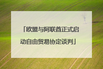 欧盟与阿联酋正式启动自由贸易协定谈判