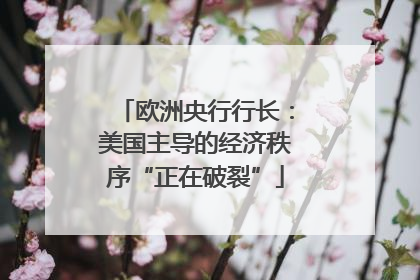 欧洲央行行长：美国主导的经济秩序“正在破裂”