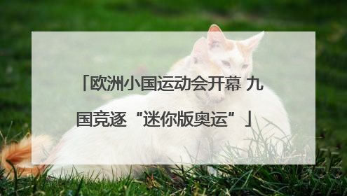 欧洲小国运动会开幕 九国竞逐“迷你版奥运”