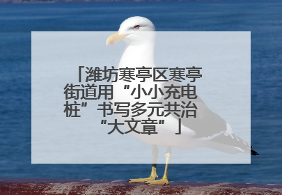 潍坊寒亭区寒亭街道用“小小充电桩”书写多元共治“大文章”