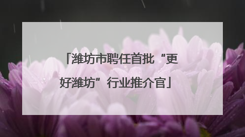 潍坊市聘任首批“更好潍坊”行业推介官