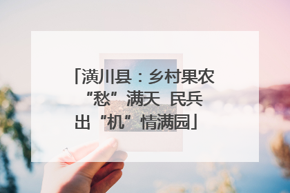 潢川县：乡村果农“愁”满天  民兵出“机”情满园