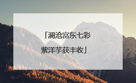 澜沧富东七彩紫洋芋获丰收