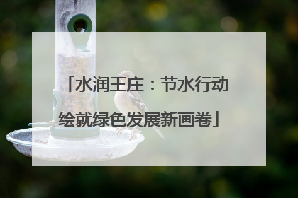 水润王庄：节水行动绘就绿色发展新画卷