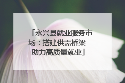永兴县就业服务市场：搭建供需桥梁 助力高质量就业
