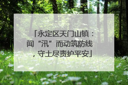 永定区天门山镇：闻“汛”而动筑防线，守土尽责护平安