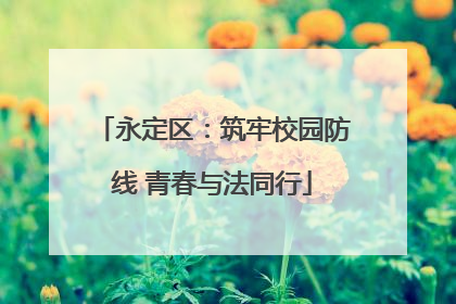 永定区：筑牢校园防线 青春与法同行