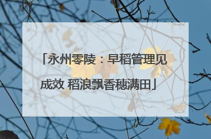 永州零陵：早稻管理见成效 稻浪飘香穗满田