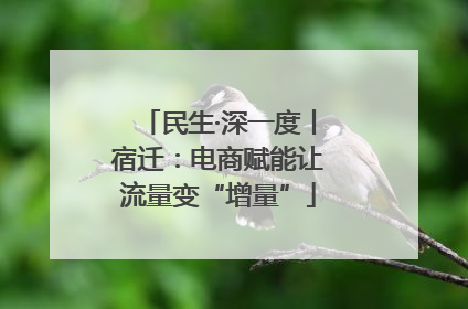 民生·深一度丨宿迁：电商赋能让流量变“增量”