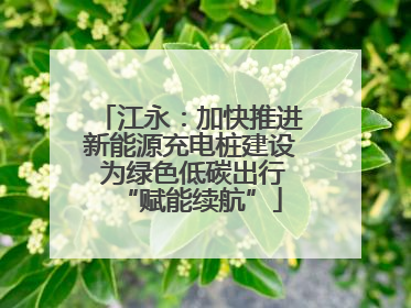 江永：加快推进新能源充电桩建设 为绿色低碳出行“赋能续航”